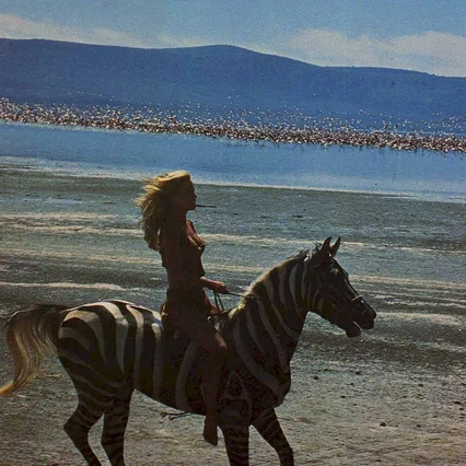 Miniature photo du film : Sheena reine de la jungle