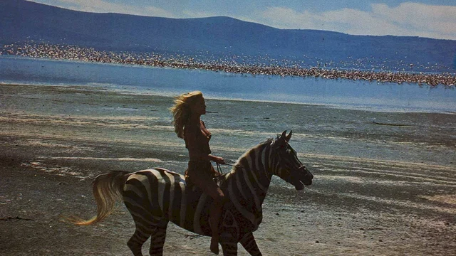 Photo du film : Sheena reine de la jungle