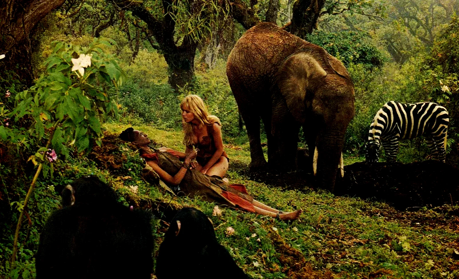 Photo 6 du film : Sheena reine de la jungle
