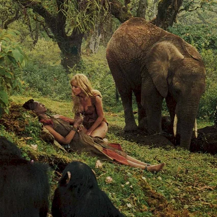 Miniature photo du film : Sheena reine de la jungle