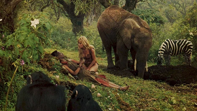 Photo du film : Sheena reine de la jungle