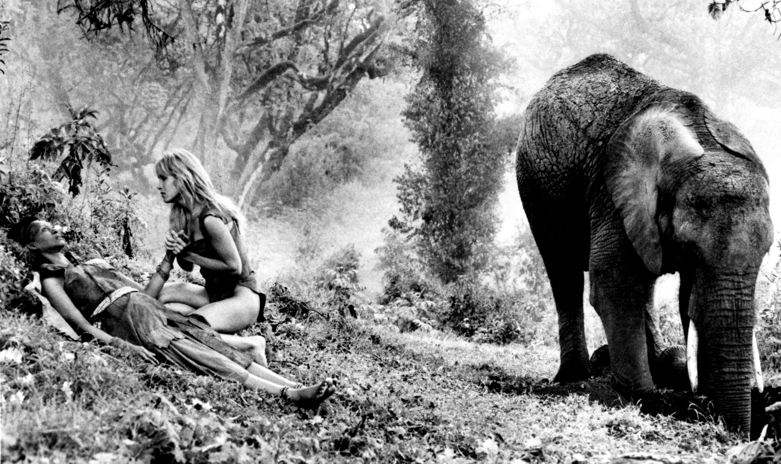 Photo 14 du film : Sheena reine de la jungle