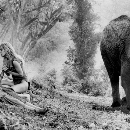 Miniature photo du film : Sheena reine de la jungle