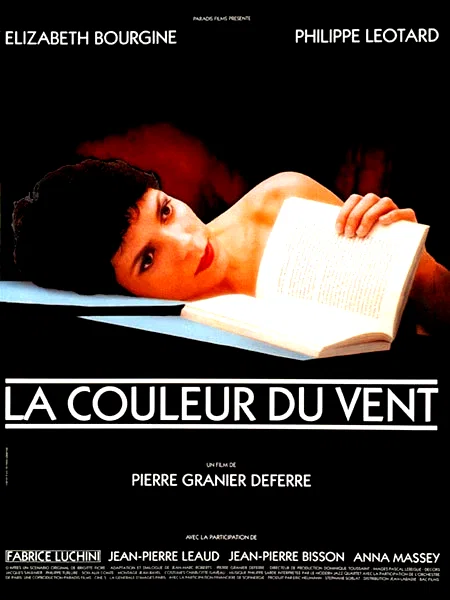 Affiche du film : La couleur du vent
