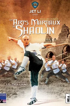Affiche du film Les arts martiaux de shaolin