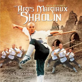 Photo du film : Les arts martiaux de shaolin