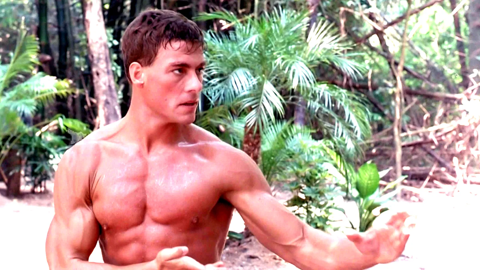 Photo 2 du film : Kickboxer