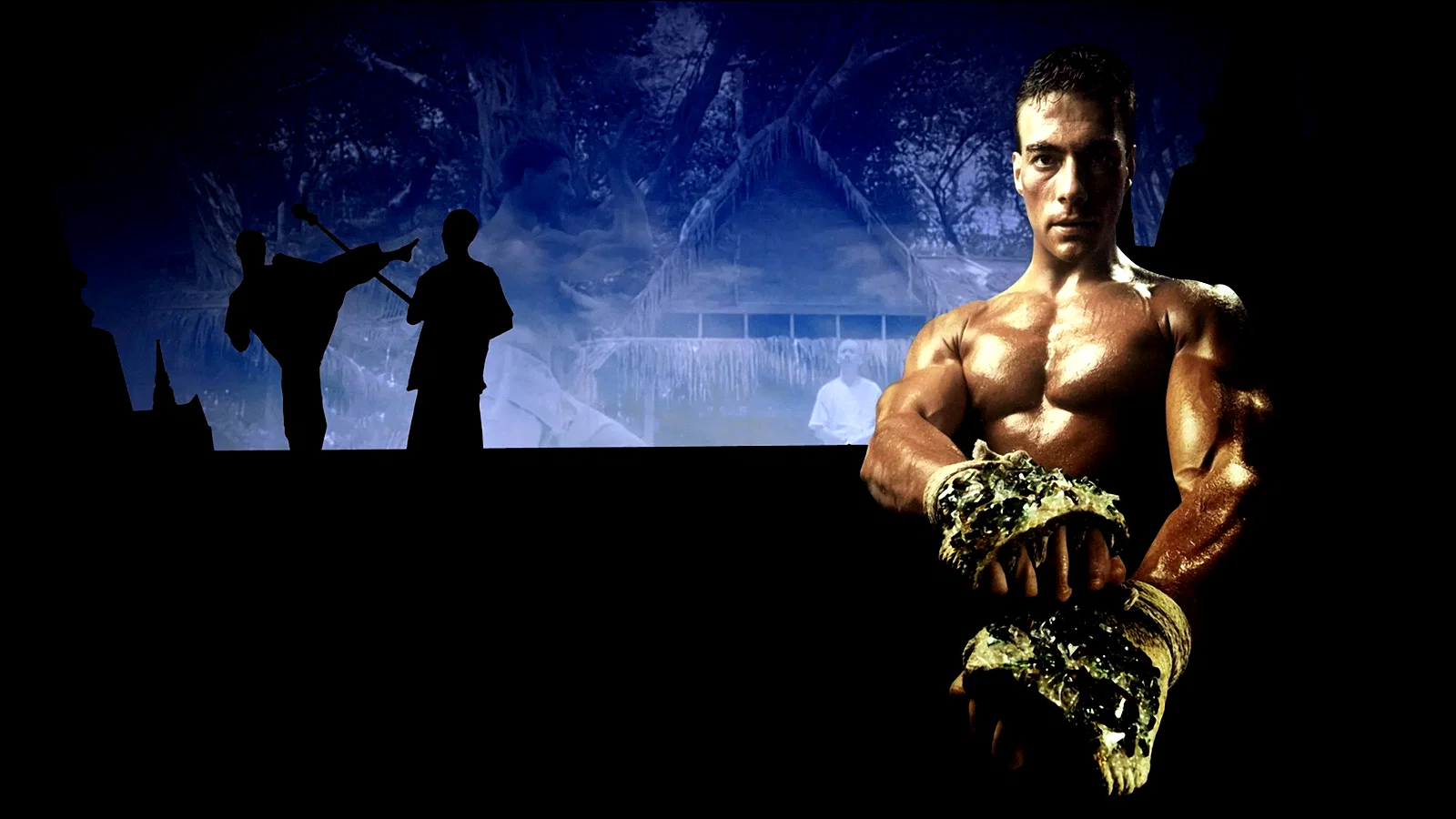 Photo 3 du film : Kickboxer