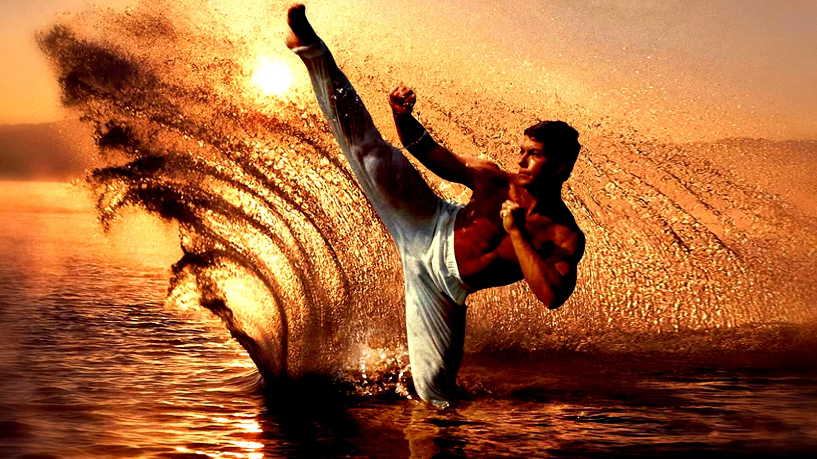 Photo 4 du film : Kickboxer