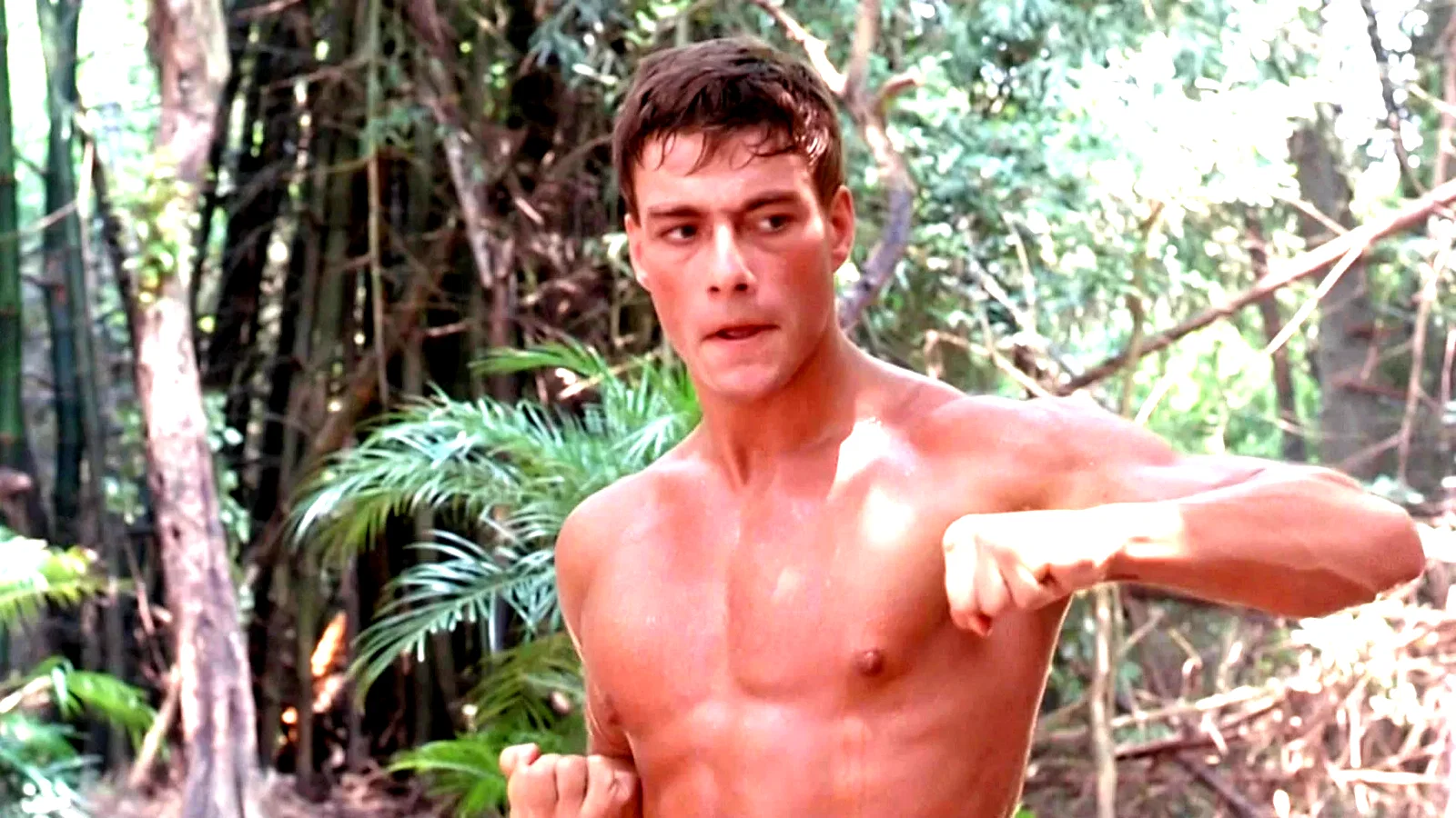 Photo 5 du film : Kickboxer