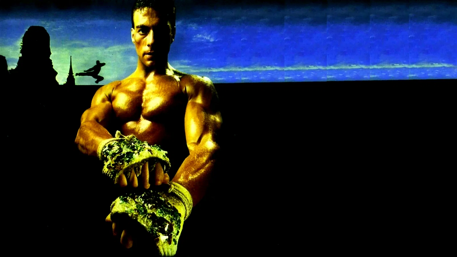 Photo 6 du film : Kickboxer
