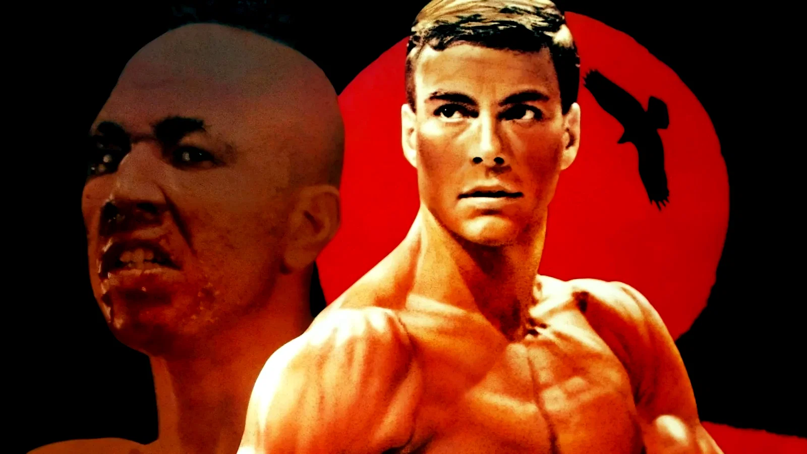 Photo 7 du film : Kickboxer