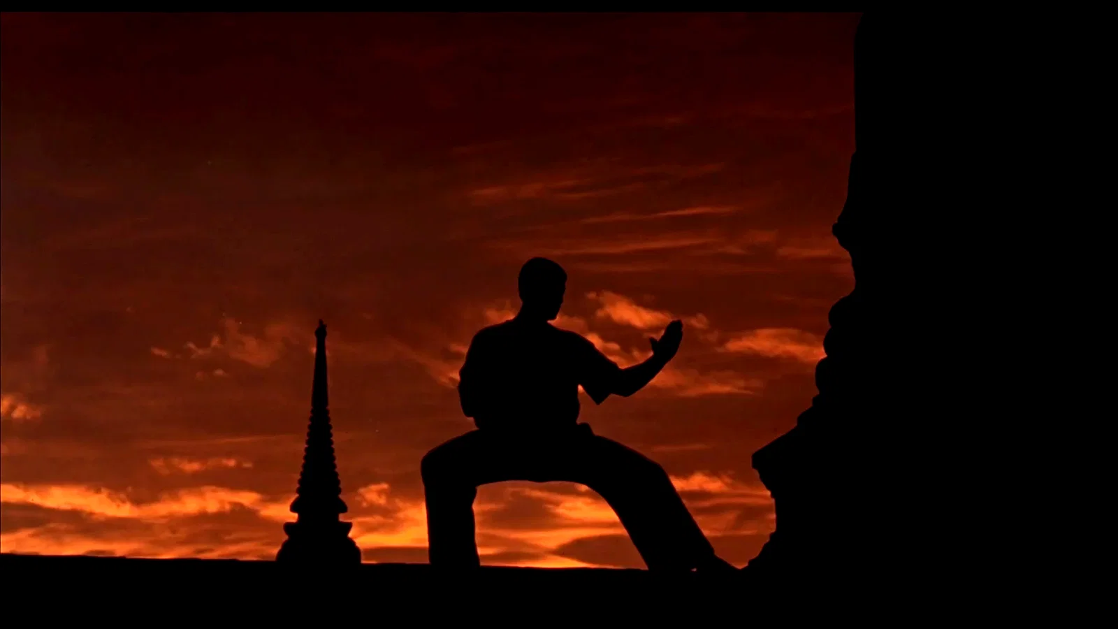 Photo 9 du film : Kickboxer