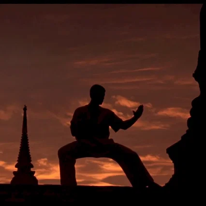 Miniature photo du film : Kickboxer