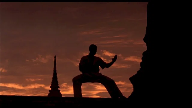 Photo 9 du film : Kickboxer