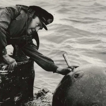 Miniature photo du film : Operation tirpitz