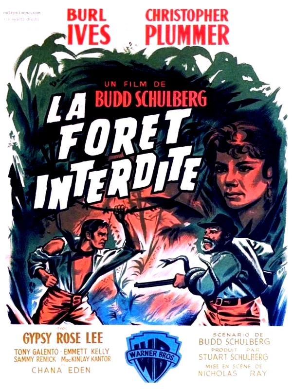 Affiche du film : La foret interdite