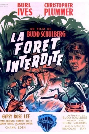 Affiche du film : La foret interdite
