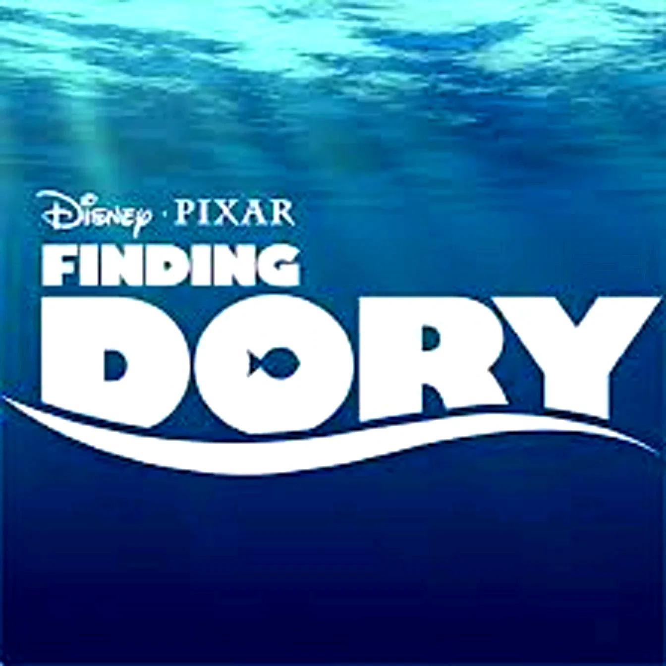 Photo 3 du film : Le Monde de Dory 