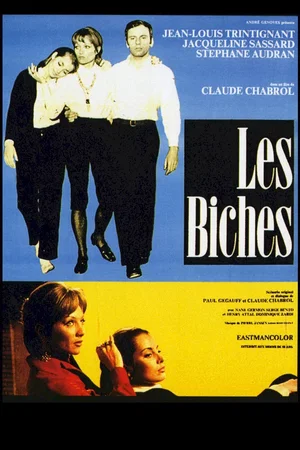 Affiche du film : Les biches