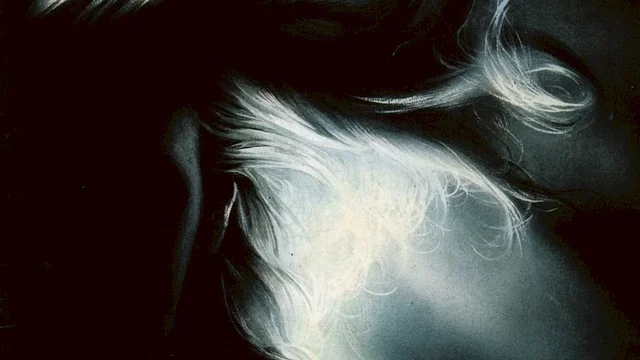 Photo du film : Ténèbres