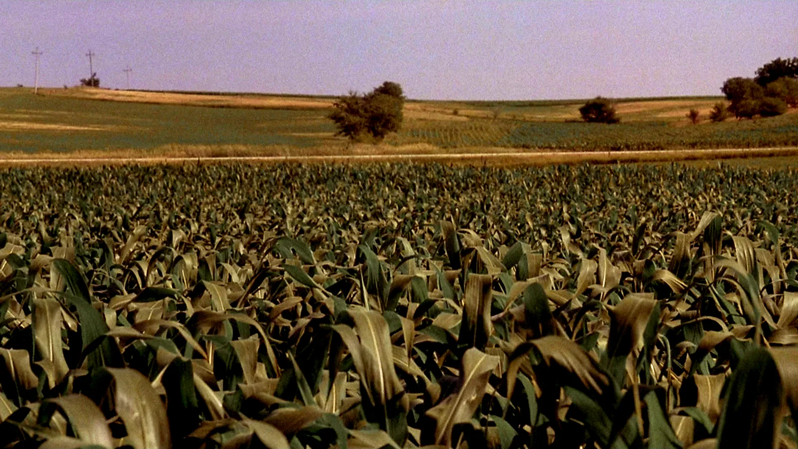 Photo 3 du film : Jusqu'au bout du rêve
