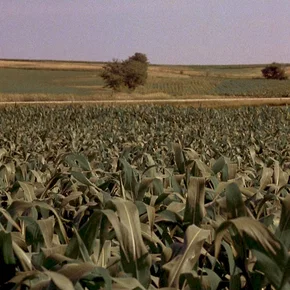 Photo du film : Jusqu'au bout du rêve