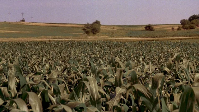 Photo 3 du film : Jusqu'au bout du rêve