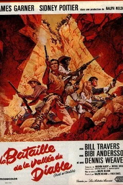 Affiche du film La bataille de la vallee du diable