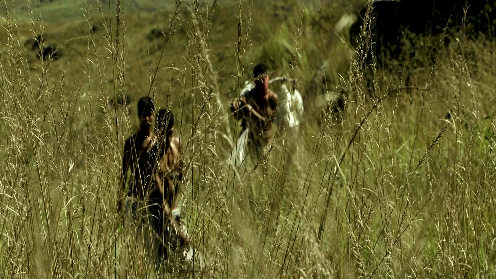 Photo 2 du film : Los salvajes