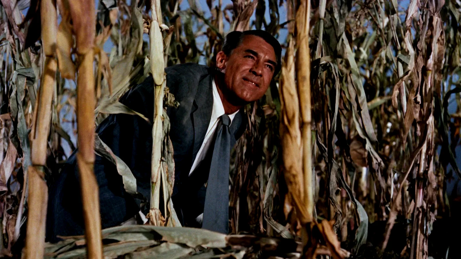 Photo 8 du film : La mort aux trousses