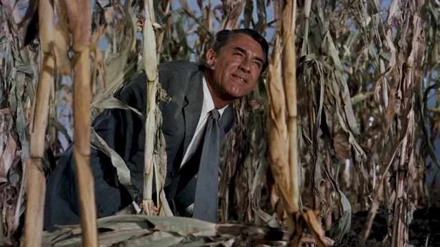 Photo du film : La mort aux trousses
