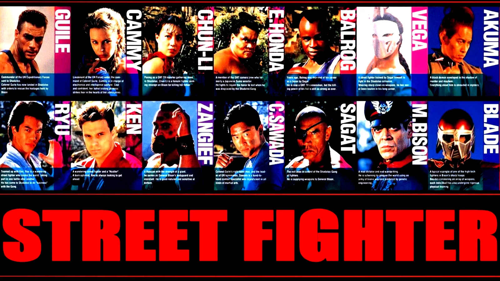 Photo 8 du film : Street fighter