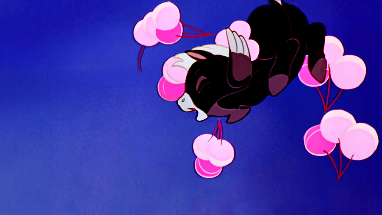 Photo 5 du film : Fantasia