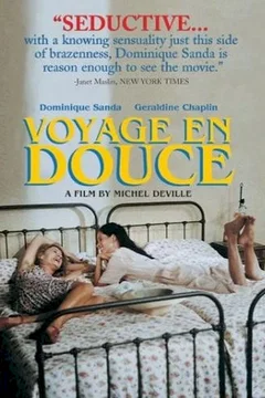Affiche du film Le voyage en douce