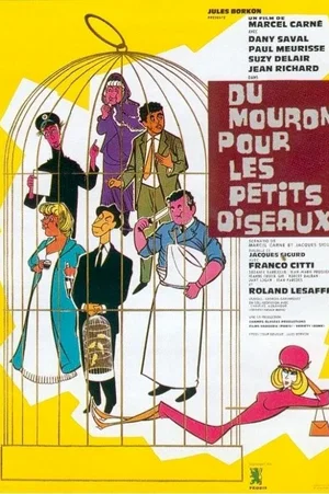 Affiche du film : Du mouron pour les petits oiseaux
