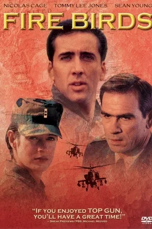 Affiche du film : Fire birds