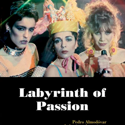 Miniature photo du film : Labyrinthe des passions