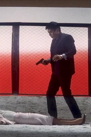 Affiche du film : Le vagabond de tokyo