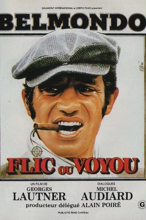 Affiche du film : Flic ou voyou