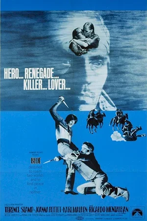 Affiche du film : El gringo