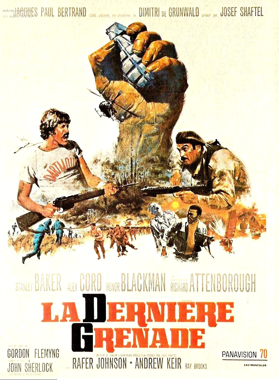 Affiche du film : La dernière grenade
