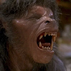 Photo du film : Le loup-garou de Londres 