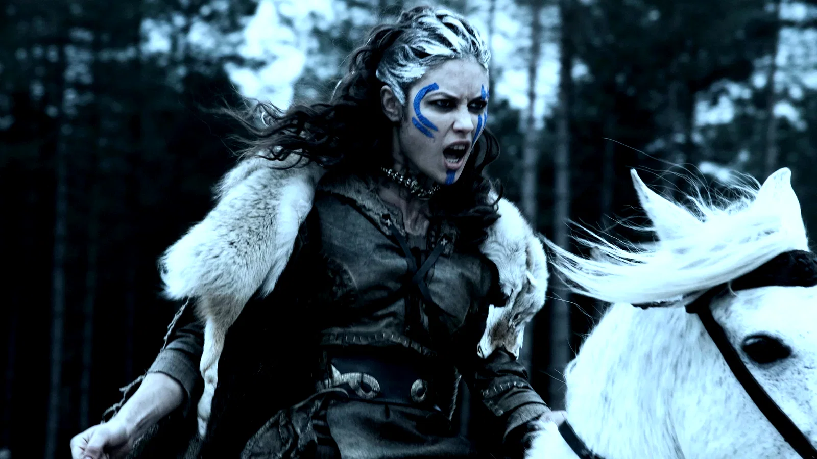 Photo 5 du film : Centurion