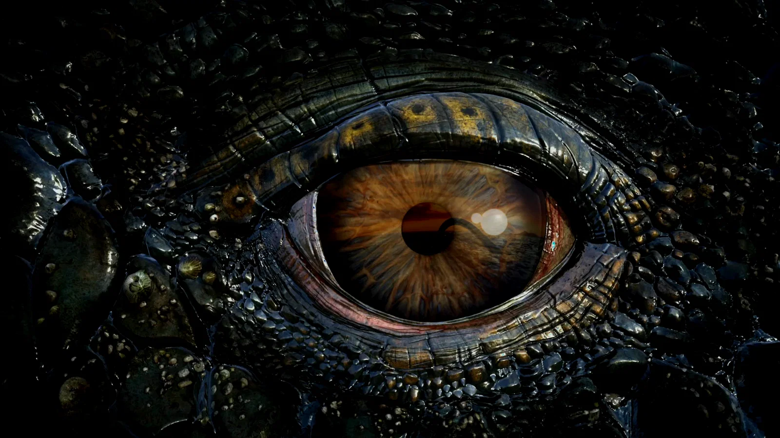Photo du film : Océanosaures 3D : Voyage au Temps des Dinosaures