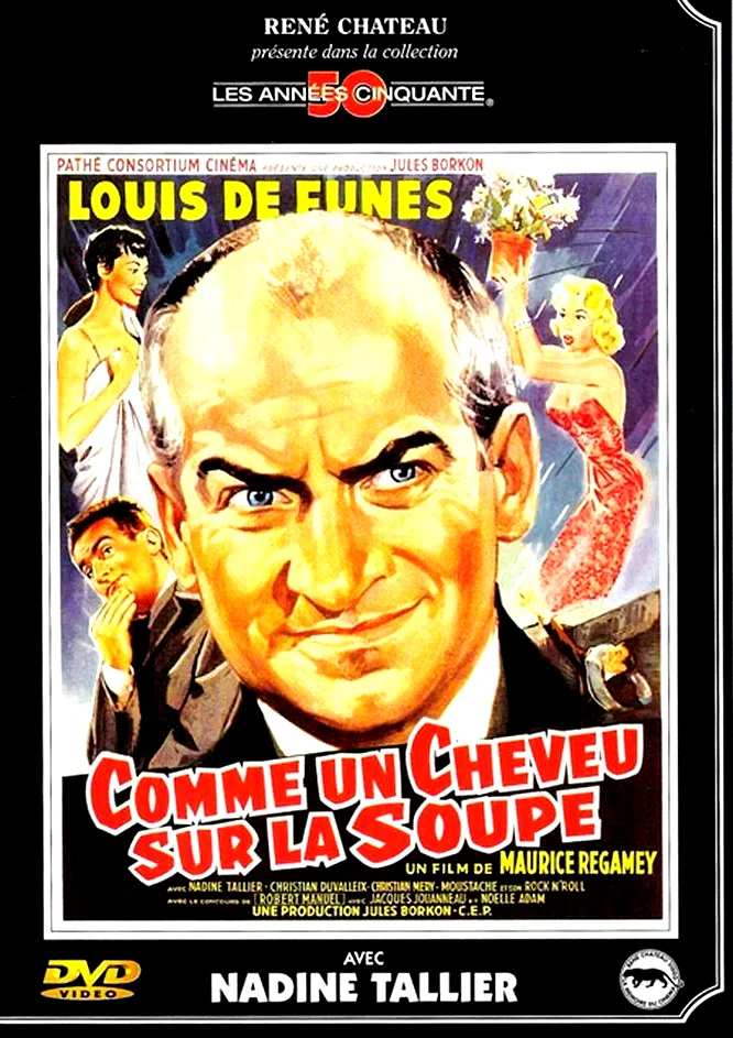 Affiche du film : Comme un cheveu sur la soupe