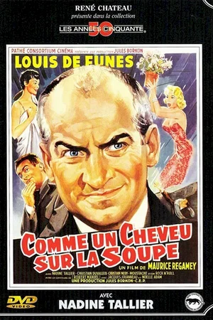 Affiche du film : Comme un cheveu sur la soupe