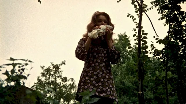 Photo 3 du film : Le frisson des vampires