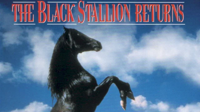 Photo du film : Le retour de l'etalon noir