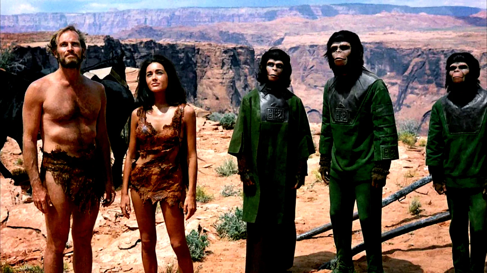 Photo 2 du film : La planete des singes